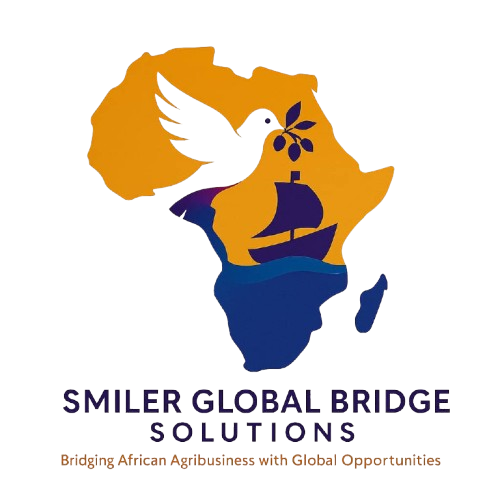 Smiler global bridge solution