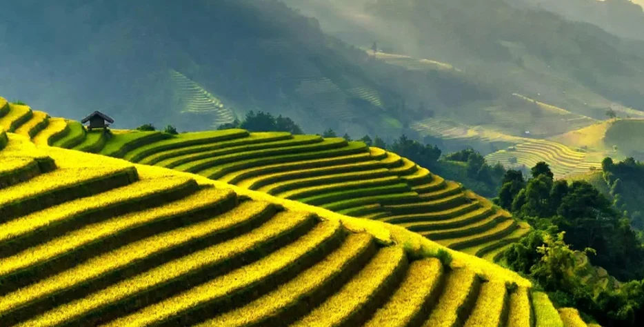 We supply reliable farming essentials and agricultural materials designed to support growers with high-quality tools and resources.