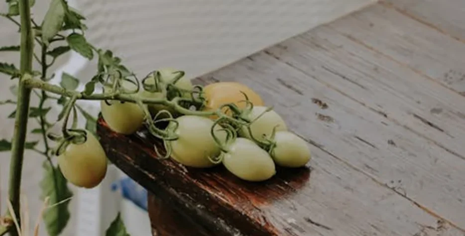 Enjoy our selection of natural, aromatic teas crafted from carefully selected leaves and herbs for a refreshing and healthy drink experience.