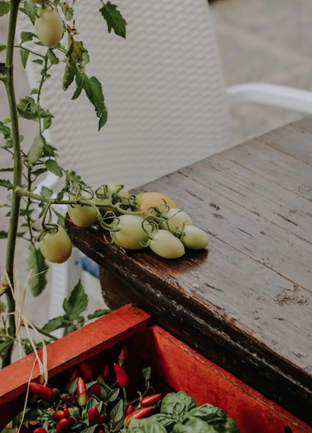 Enjoy our selection of natural, aromatic teas crafted from carefully selected leaves and herbs for a refreshing and healthy drink experience.