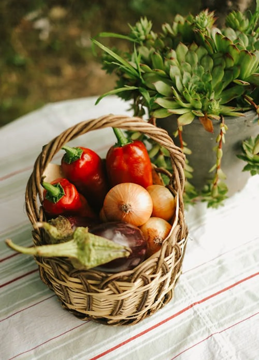 We offer secure and efficient domestic and international shipping services for agricultural products, ensuring timely arrival in perfect condition.