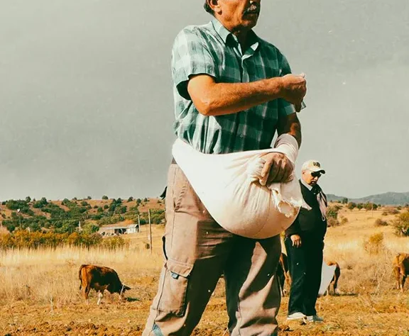 We specialize in naturally grown, chemical-free vegetables that meet high standards of quality, freshness, and food safety.