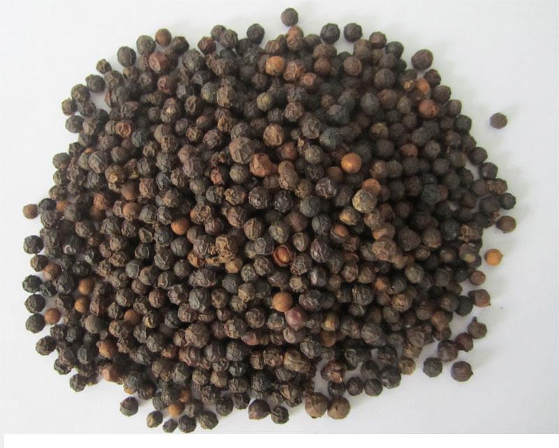 Black Pepper