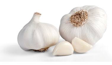 Garlic (Fresh & Dry)