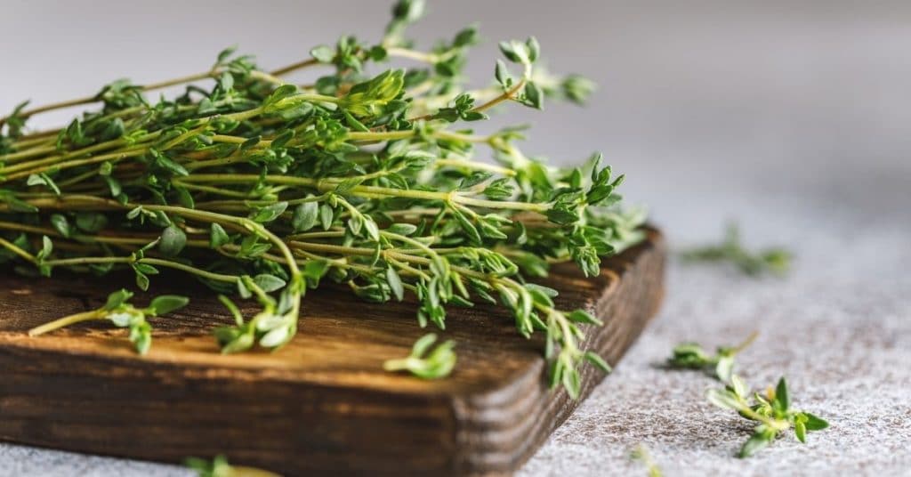 Thyme (Dry)